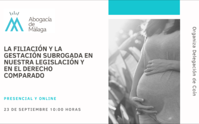 Taller: la filiación y la gestación subrogada en nuestra legislación y en el derecho comparado