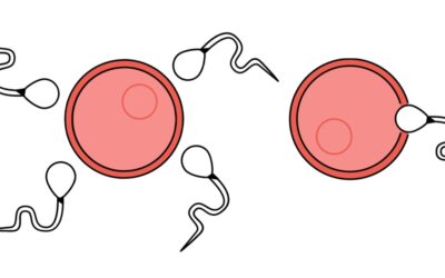 Cómo mejorar la calidad del esperma